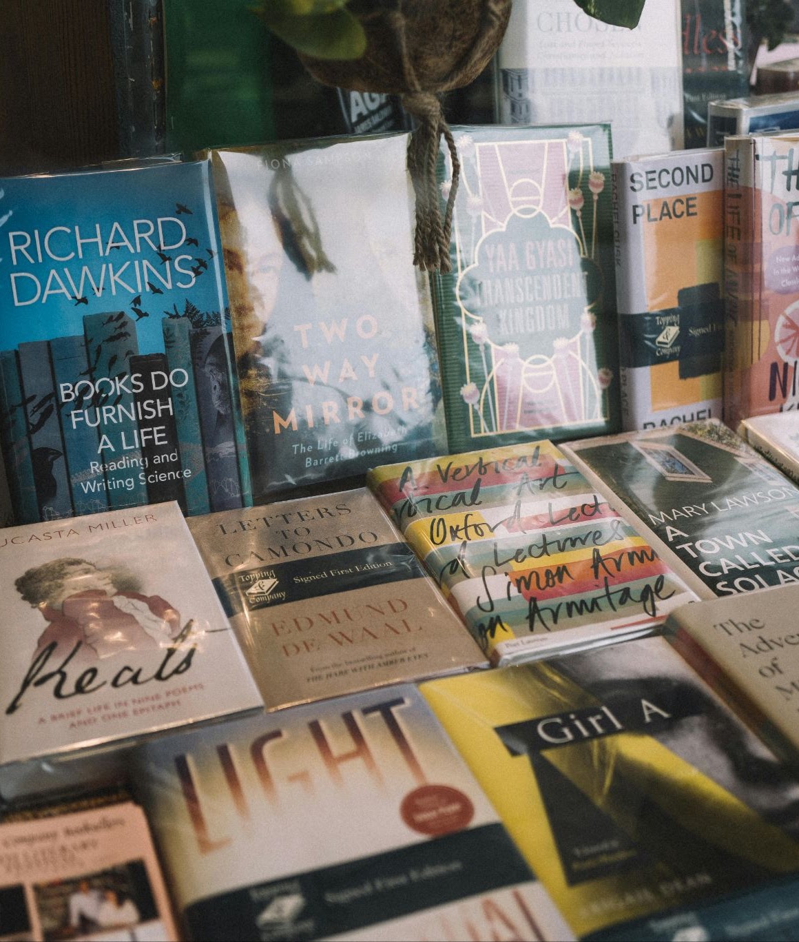Display of various books in a store window